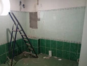 Жилой дом с подвалом площадью 297 кв. и земельным участком площадью 1 243 кв. м в р.п. им. В.И. Ленина Ульяновской области